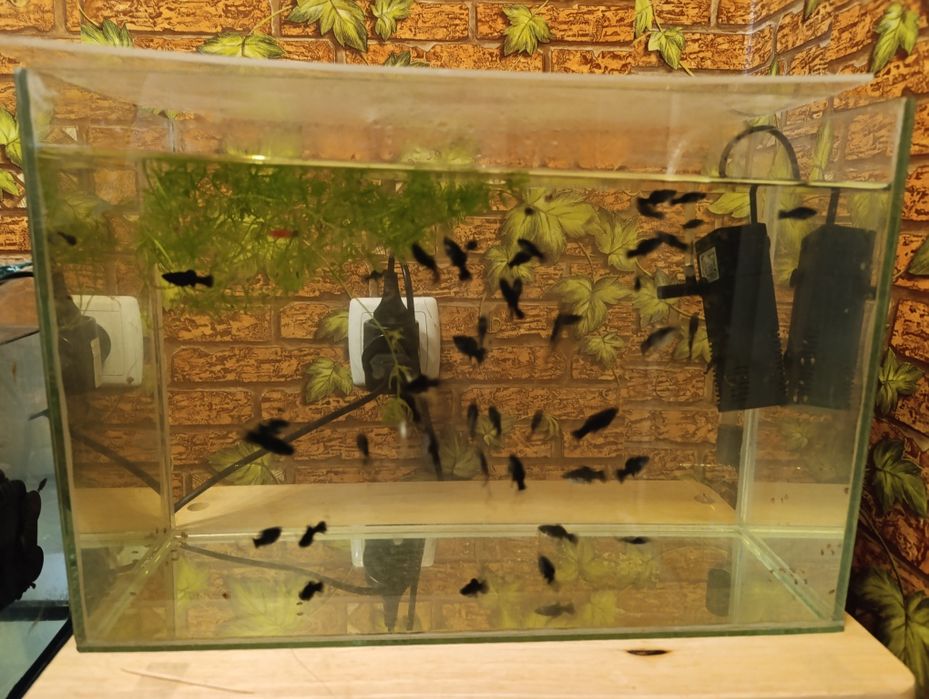 Продам аквариумы.