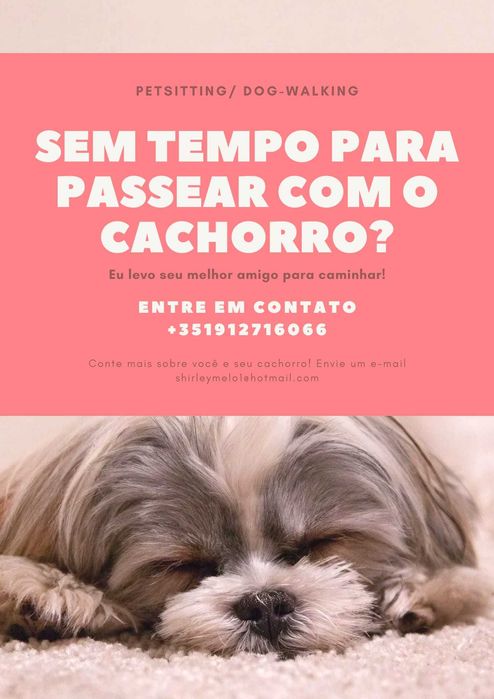 Cuidar dos animais é mais que um trabalho, é uma missão.