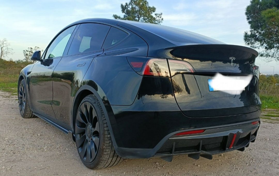 Tesla y performance