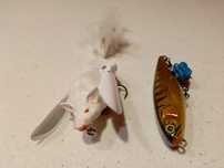 Jackall water moccasin/3d bat savage gear
