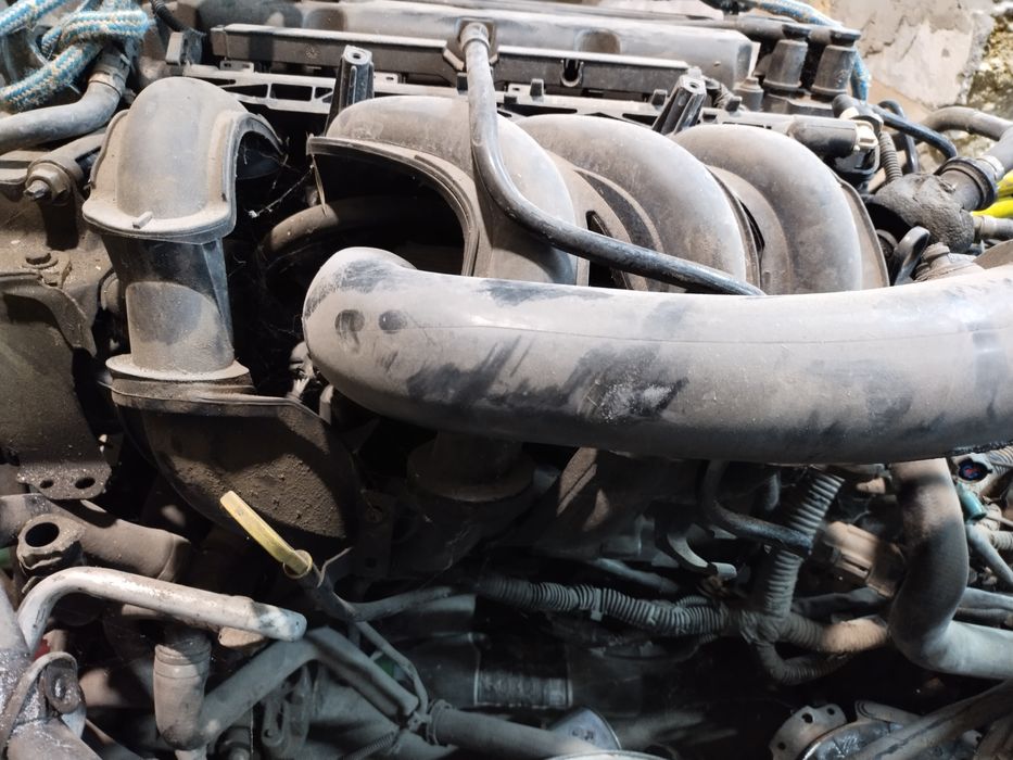 Двигун Форд фокус