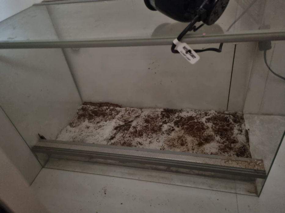 Terrarium z lampą