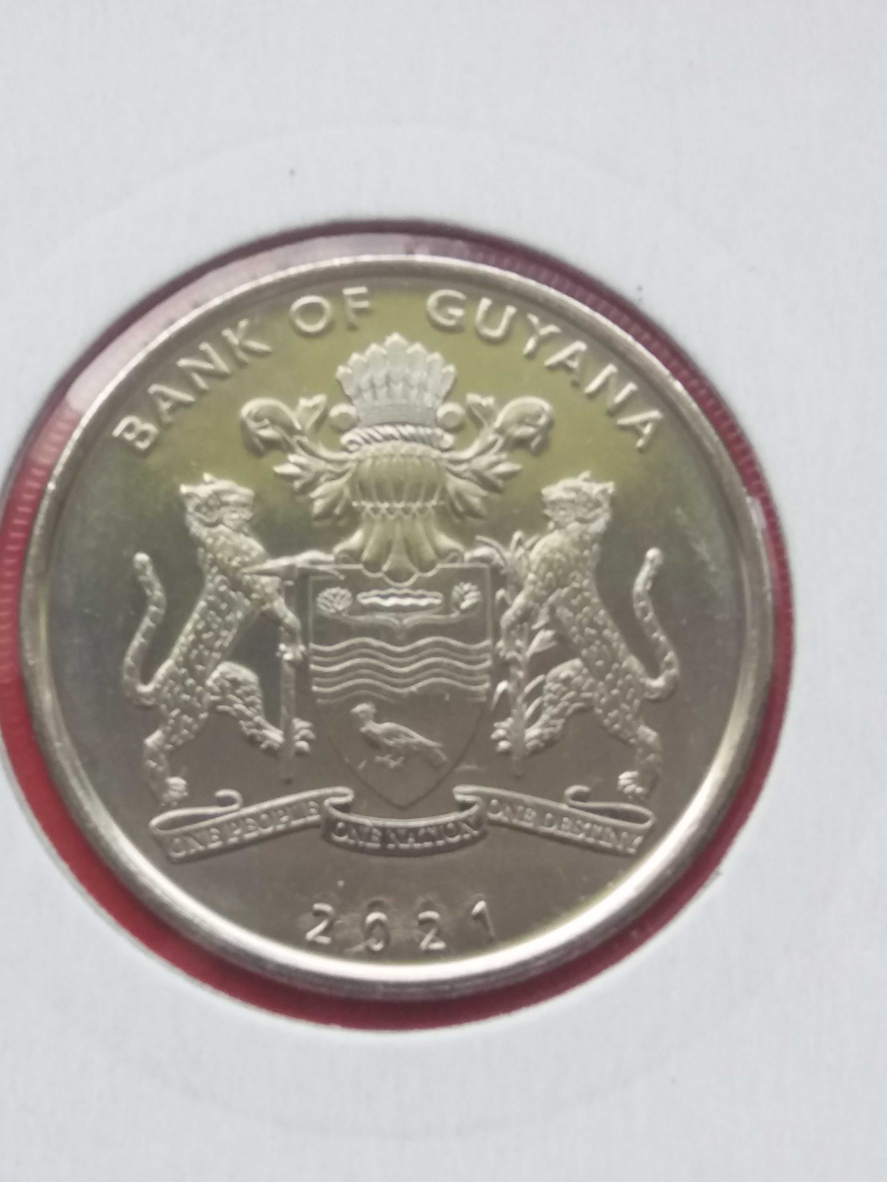 Gujana - 100 dolarów 55-lecie niepodległości 2021 stan menniczy