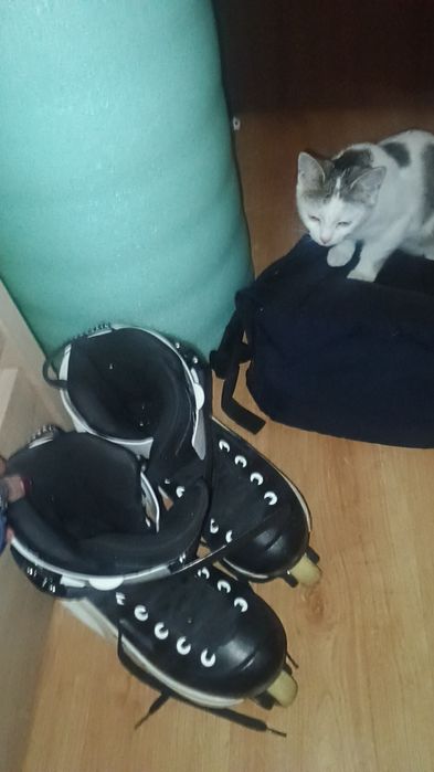 Rolki agresywne USD Sway/Kizer