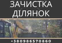 Чистка ділянок. Рубання та складання дров. Зрізання дерев. Демонтаж.