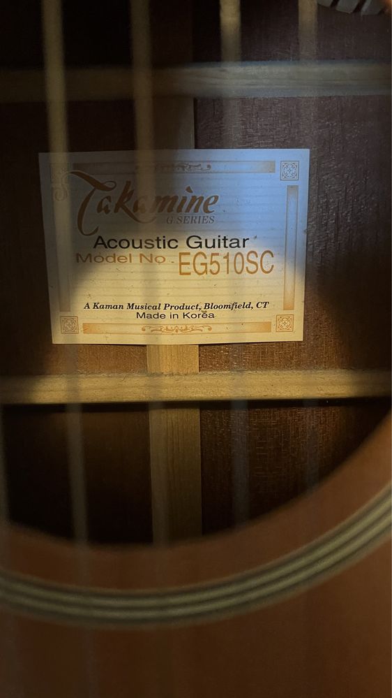 Takamine EG510SC