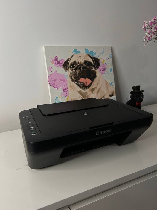 Drukarka Skaner Ksero Canon MG2550S