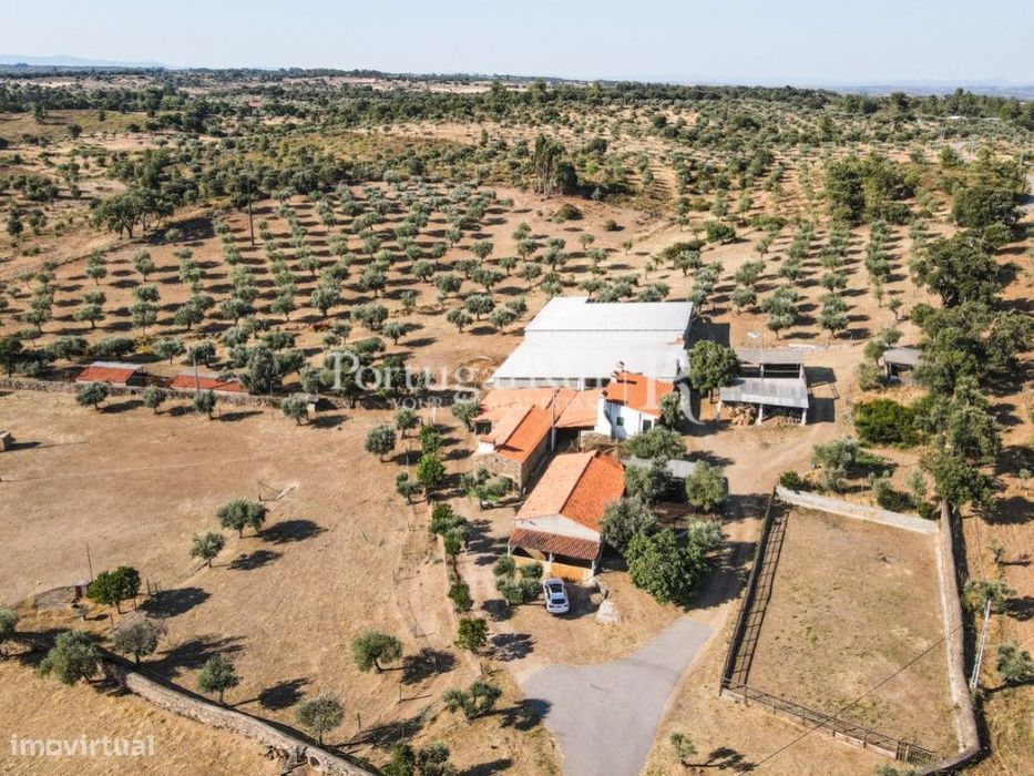 Quinta de 9,45 ha com duas casas e várias construções