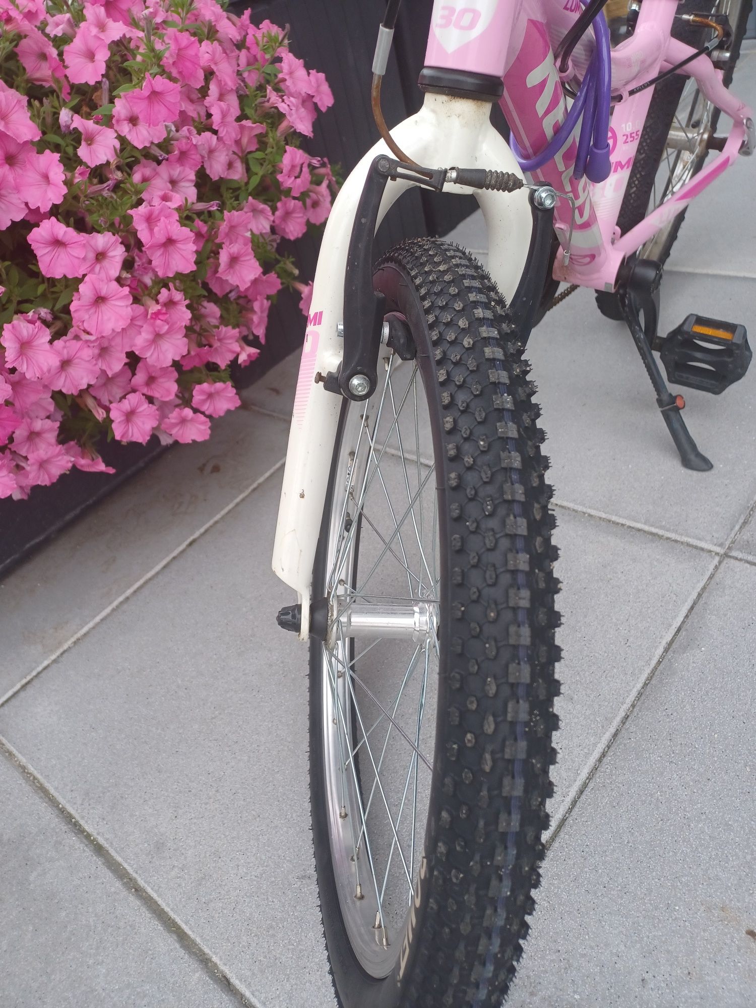 Rower 20 cali dla dziewczynki