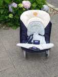 Vendo espreguiçadeira de bébé e carro bengala