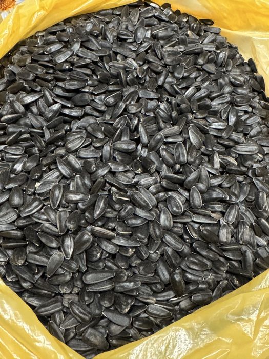 Насіння соняшника для смаження