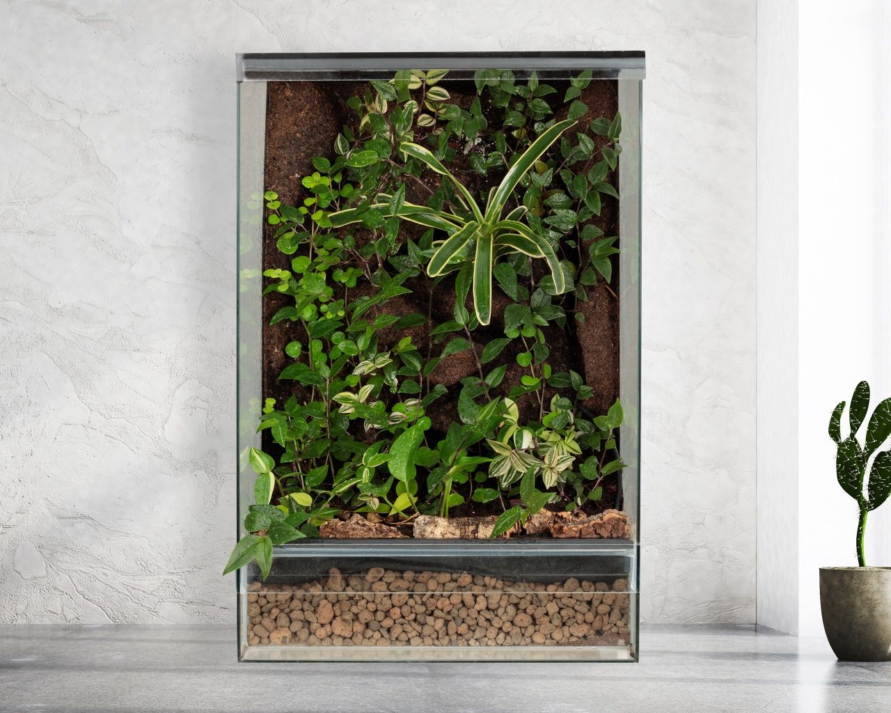 Terrarium tropikalne 40x40x60 gekon orzęsiony