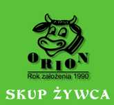 Skup bydła | konkurencyjne ceny