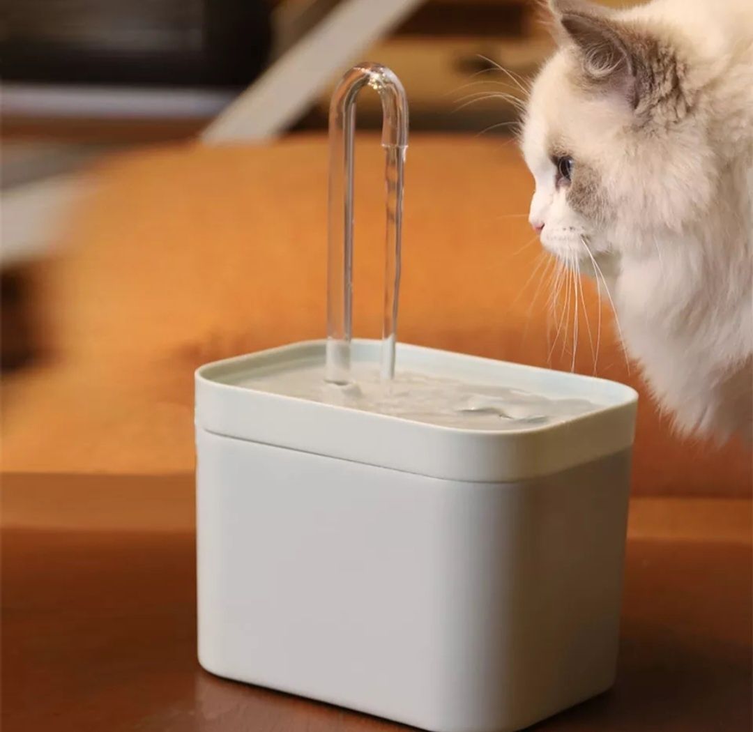 Fonte de água para gato NOVA