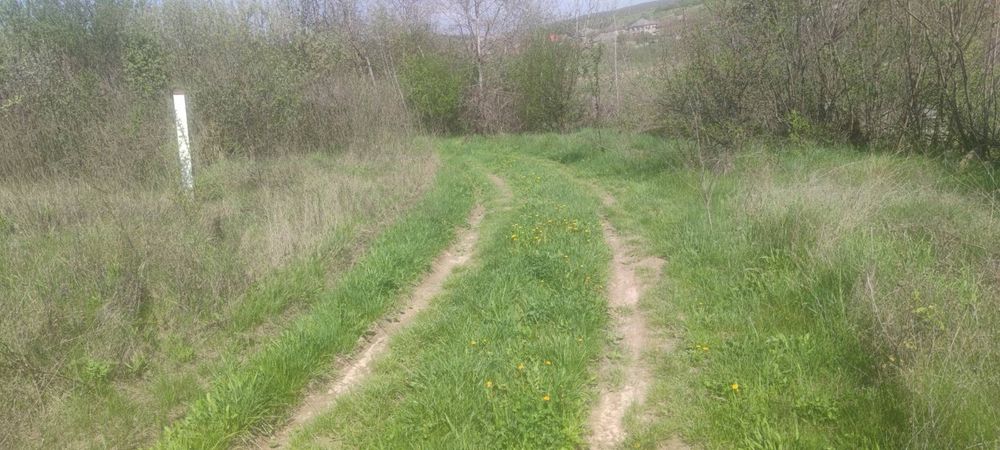 Комерційна земельна ділянка с. Глибоке головна дорога