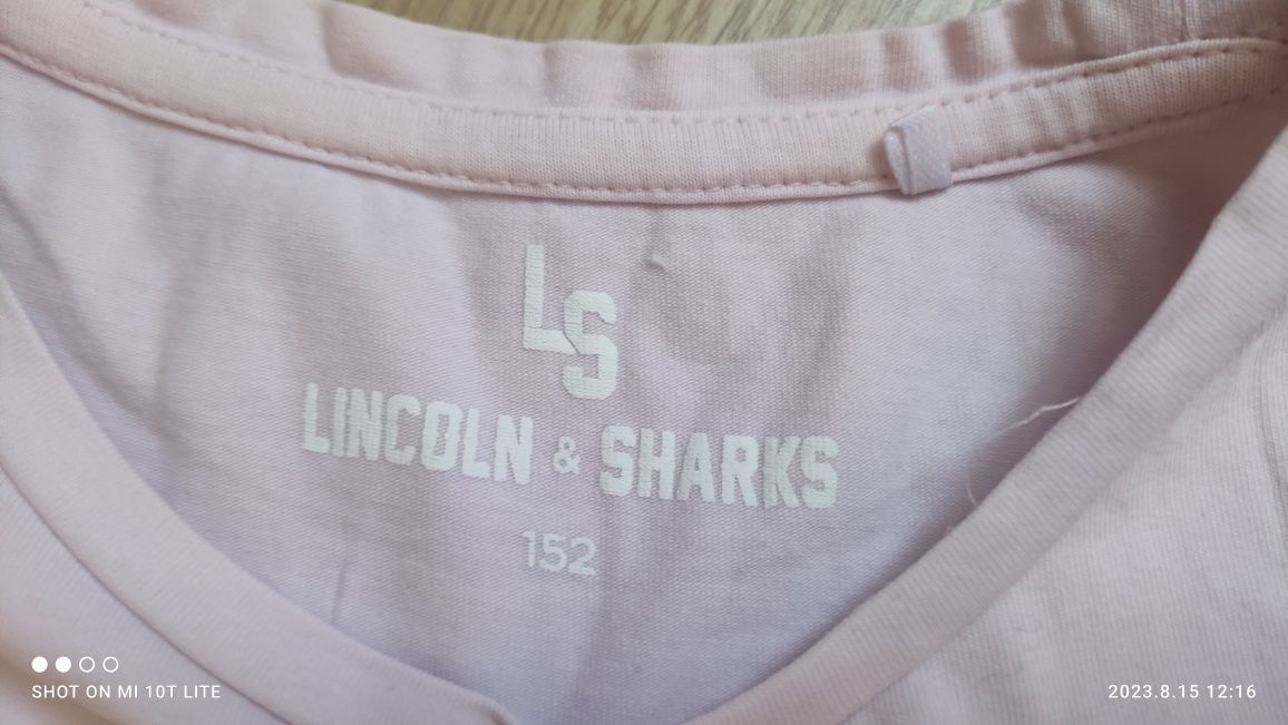 Bluzki Lincoln&Sharks 152