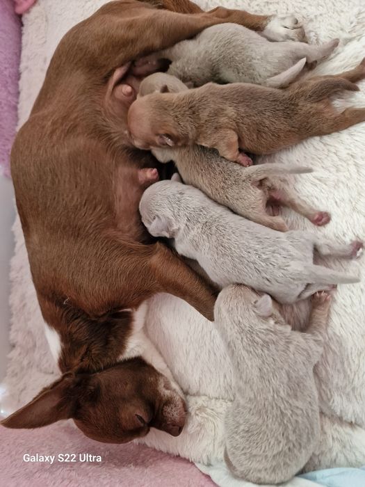 Продажу закінчено!