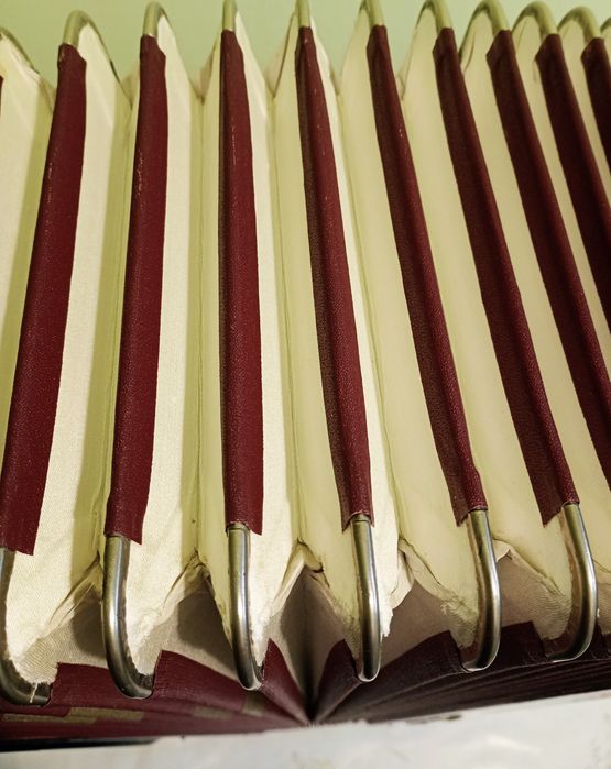 Akordeon Firotti 120b