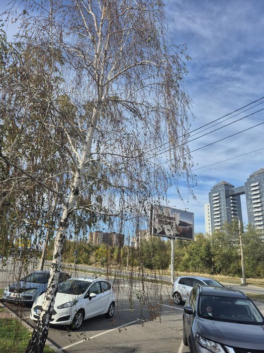 Продам велику трикімнатну квартиру- VIP, центр, Набережна, пляж. FINK