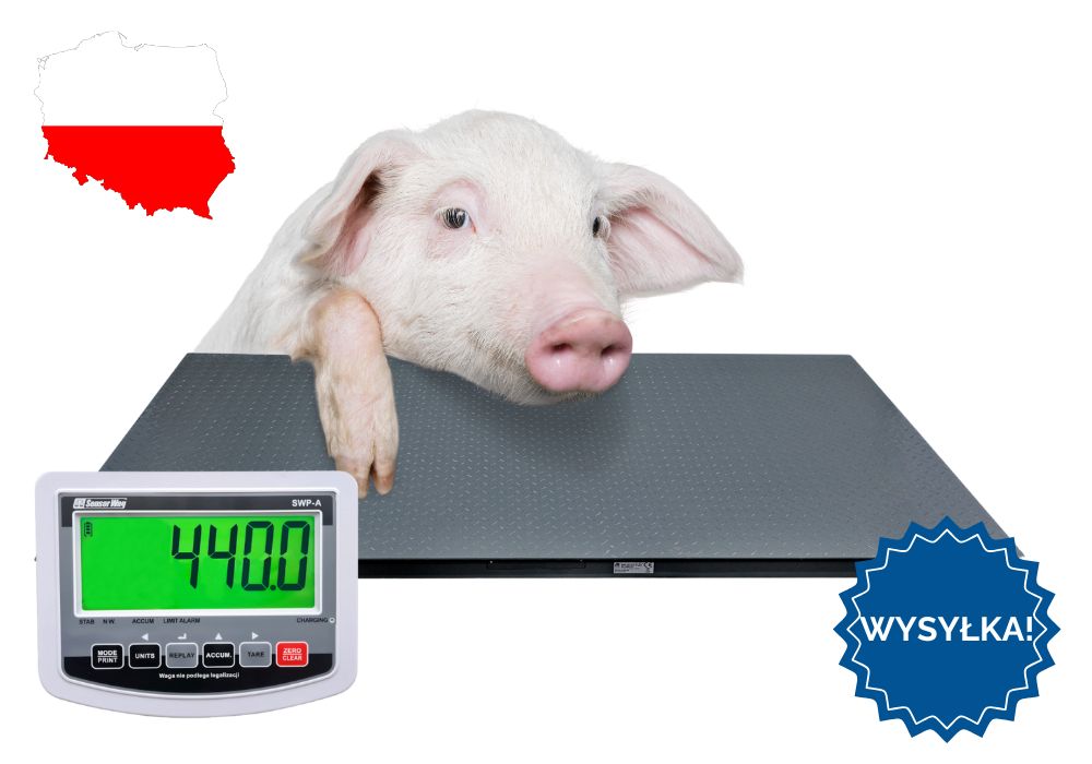 Waga inwentarzowa do Świń Krów Do Zwierząt 1,00x2,20 5T 5000kg DOSTAWA