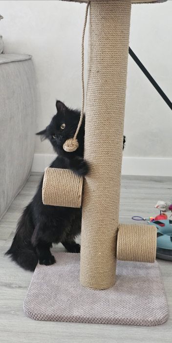 Когтеточка з крутилками для котика
