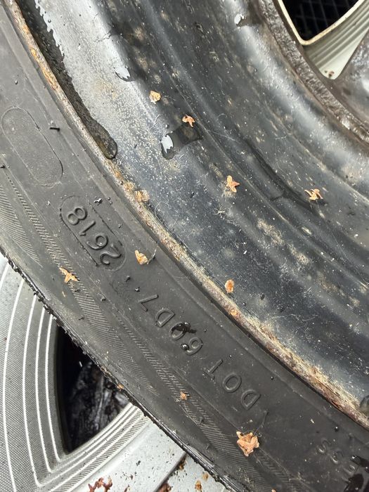 Koła zimowe Nokian 195/55 R16 91H XL – stalowe felgi Renault