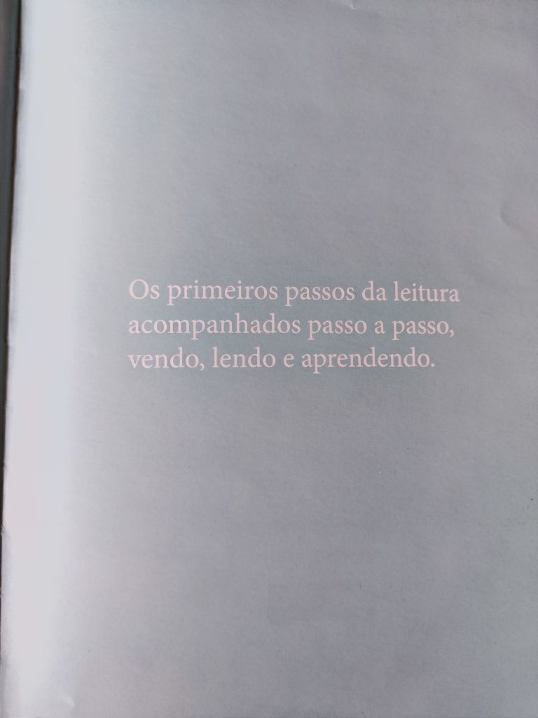 A Galinha Ruiva - António Torrado