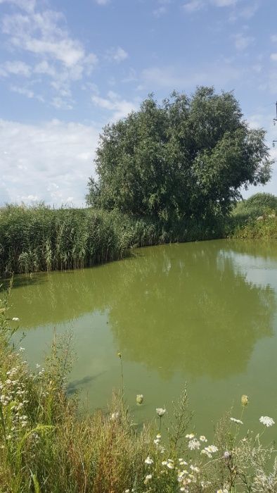 Продам дві суміжні ділянки в районі Карань