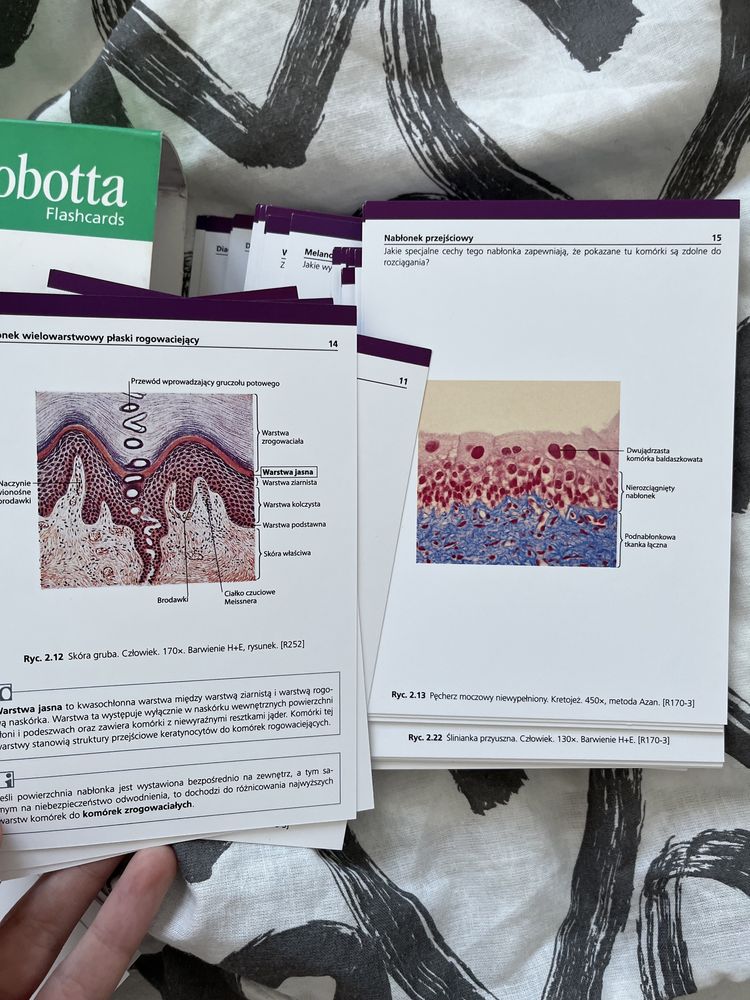 Histologia fiszki - Sobotta