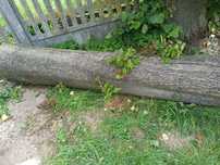 Bale lipowe suche