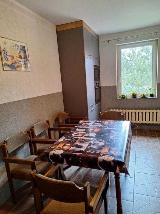 Borowy Zakątek - dom na wynajem