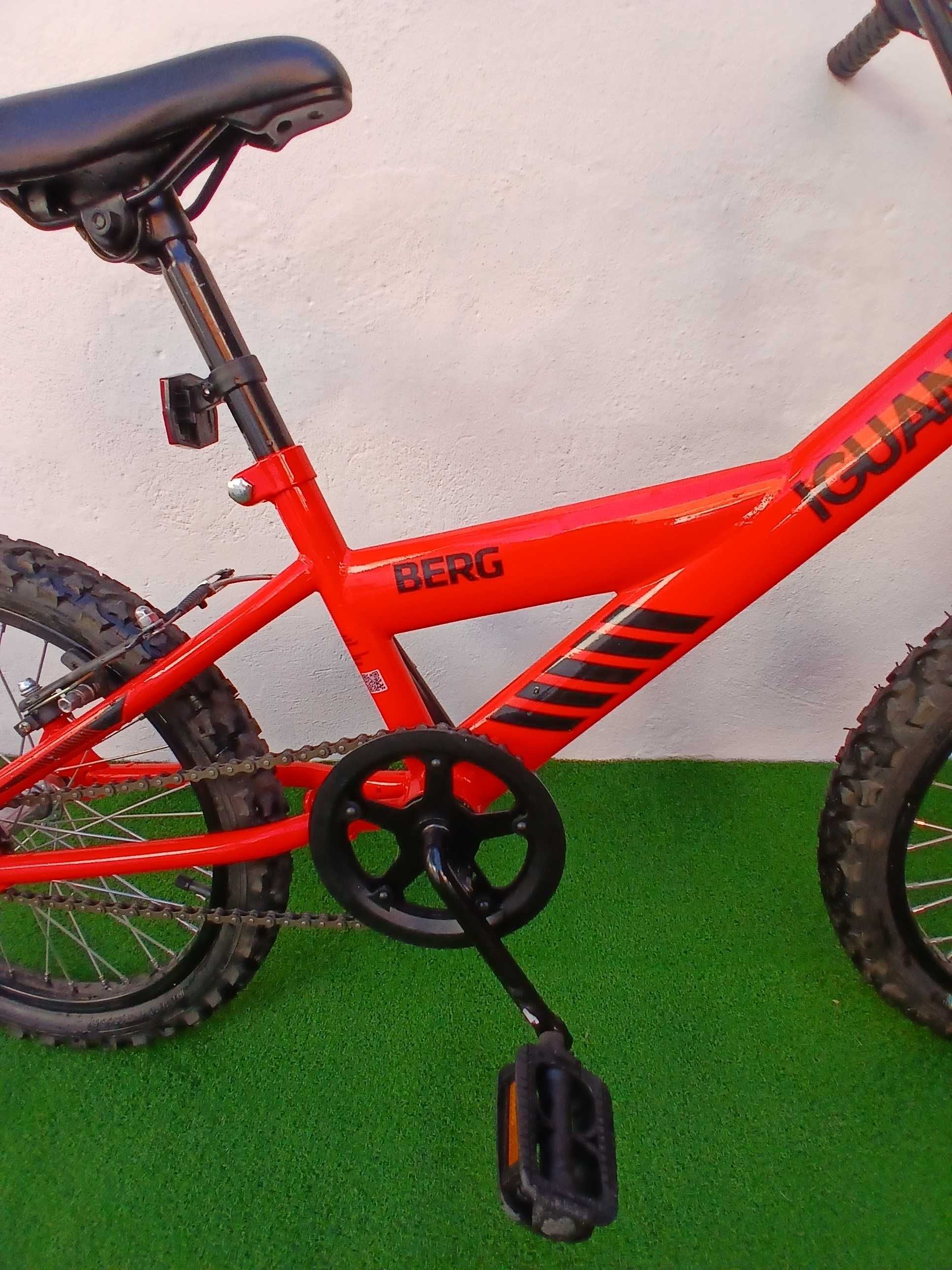 Bicicleta berg iguana roda 18