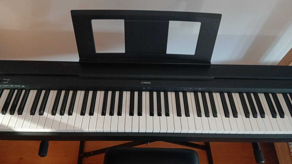 Piano/Orgão Yamaha P45 impecável