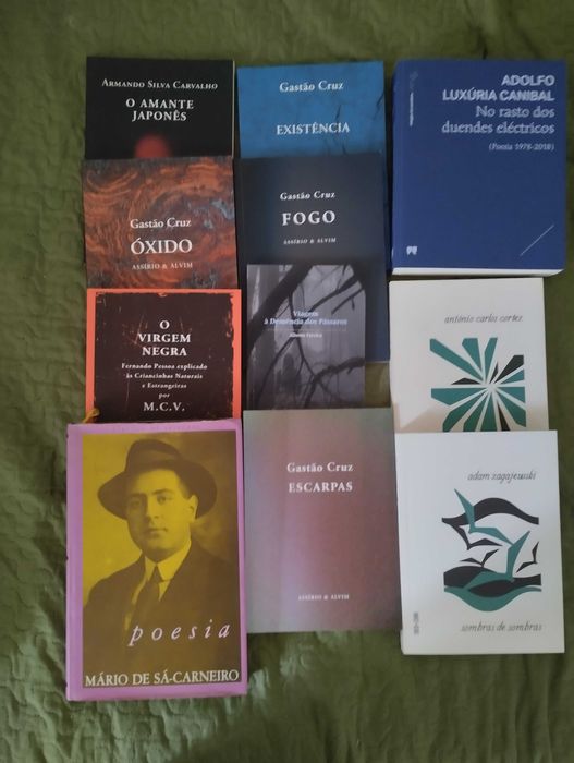50 livros de autores clássicos, modernos, teatro e poesia, 2€ a 15€