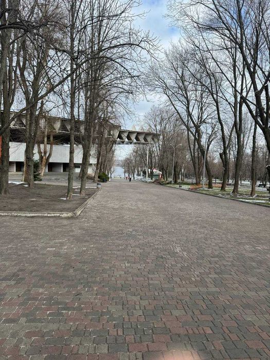 Здам приміщення в Парку Шевченка