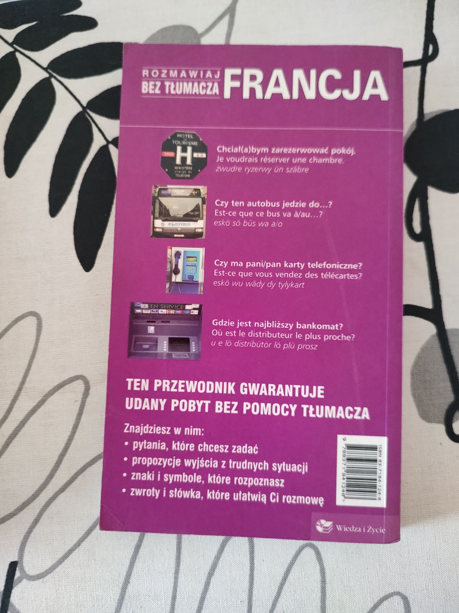 Francja. Rozmawiaj Bez Tłumacza - Salzedo Christian