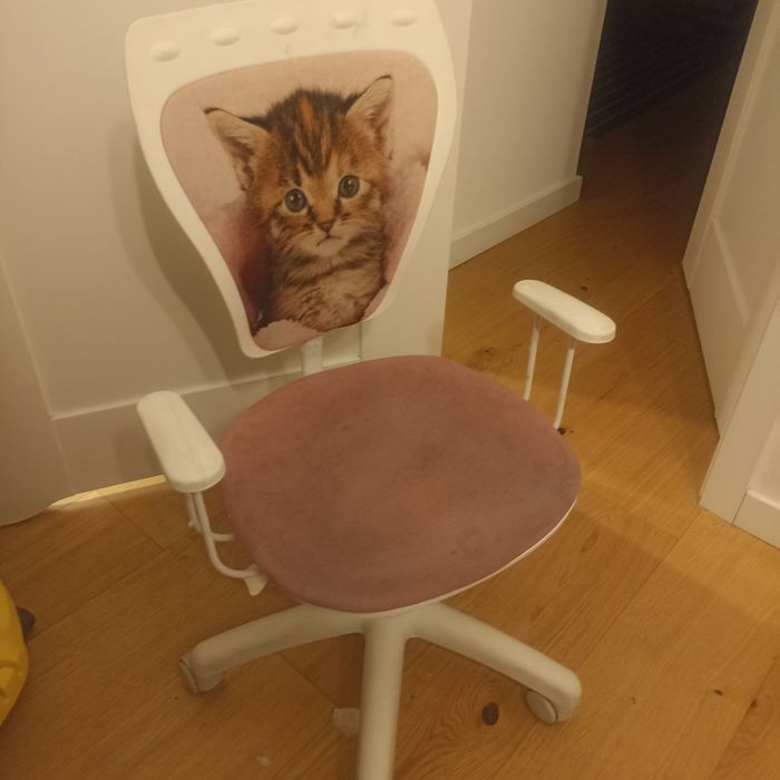 Krzesło z kotkiem obrotowe ,podnoszone