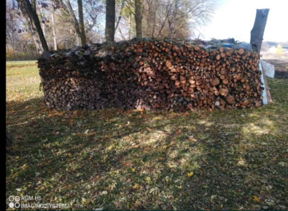 Дрова твердих порід