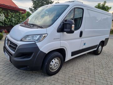 Wynajem Dostawczy Chłodnia Fiat Ducato L1 H1 2.3 MJ II 130KM