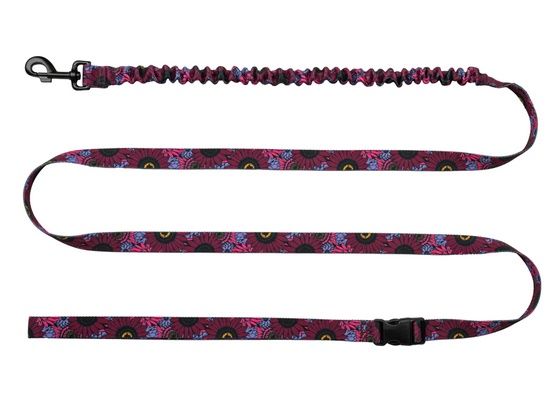 Smycz do biegania z amortyzatorem Chaba Story III L 25mm/280cm Lakota