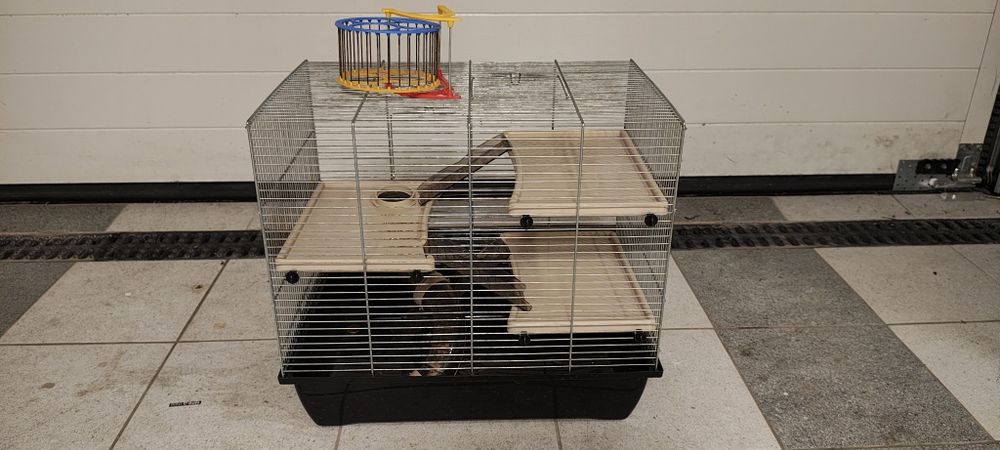 Klatka dla gryzonia