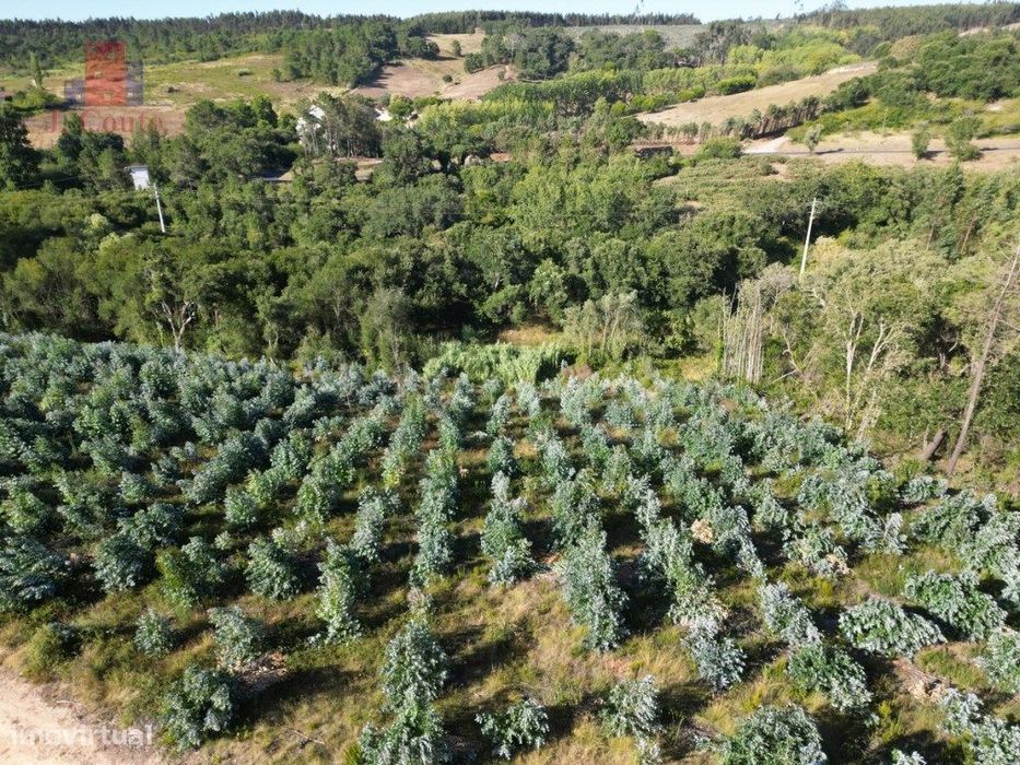 Terreno para agricultura em Vidais