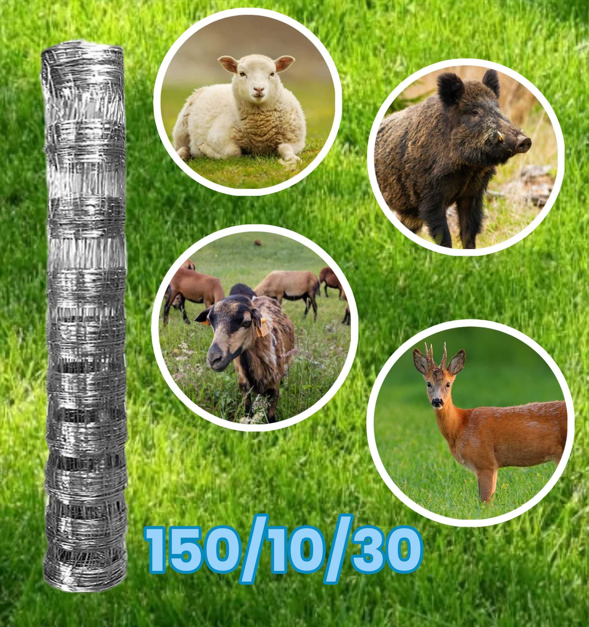 Siatka leśna 150/10/30 50 mb rolnicza