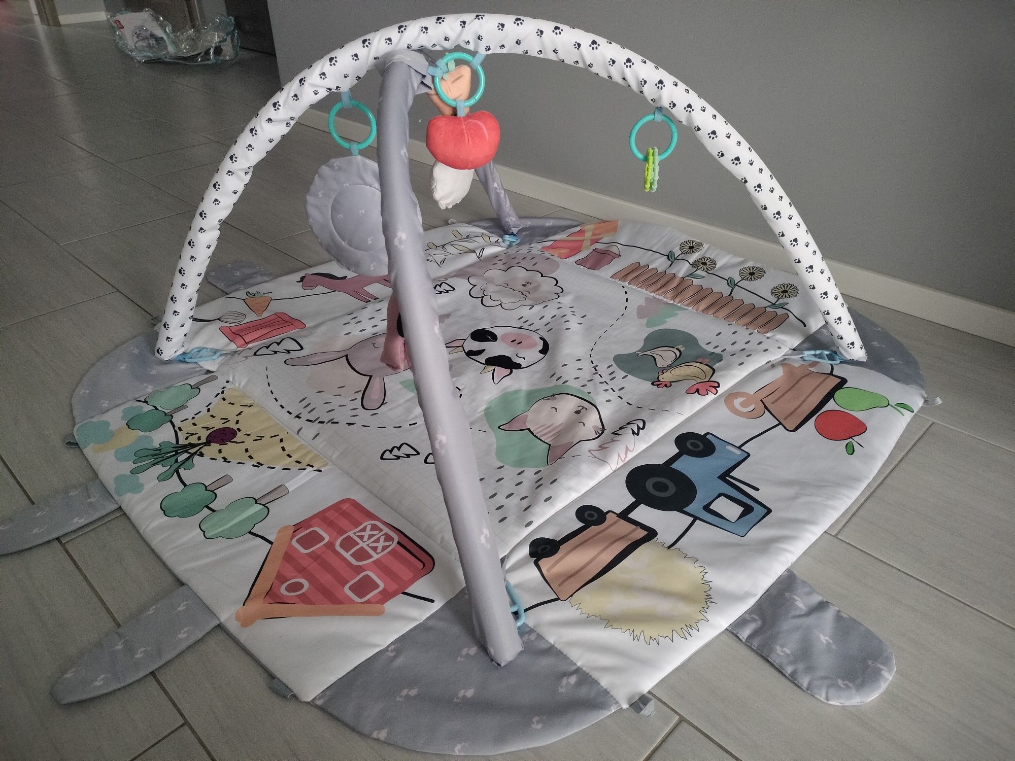 Mata edukacyjna smiki