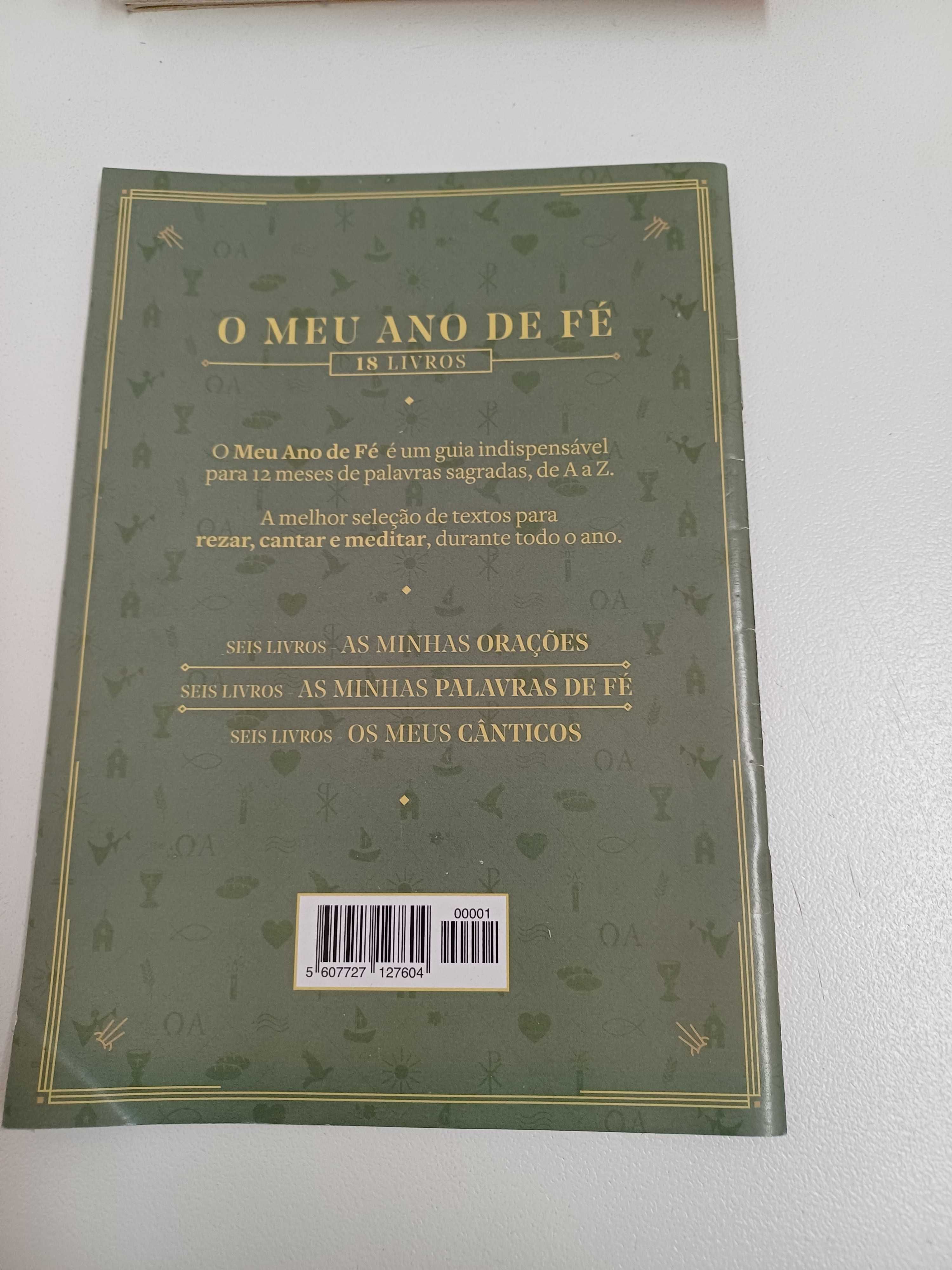 O Meu Ano de Fé - Correio da Manhã