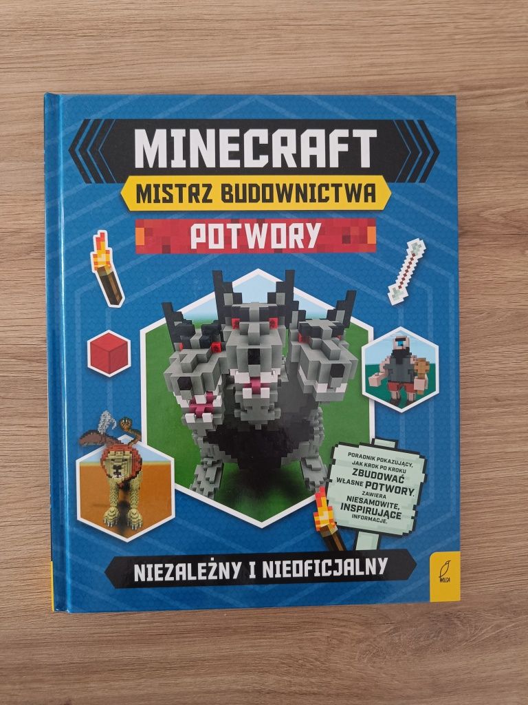 Mistrz budownictwa Minecraft