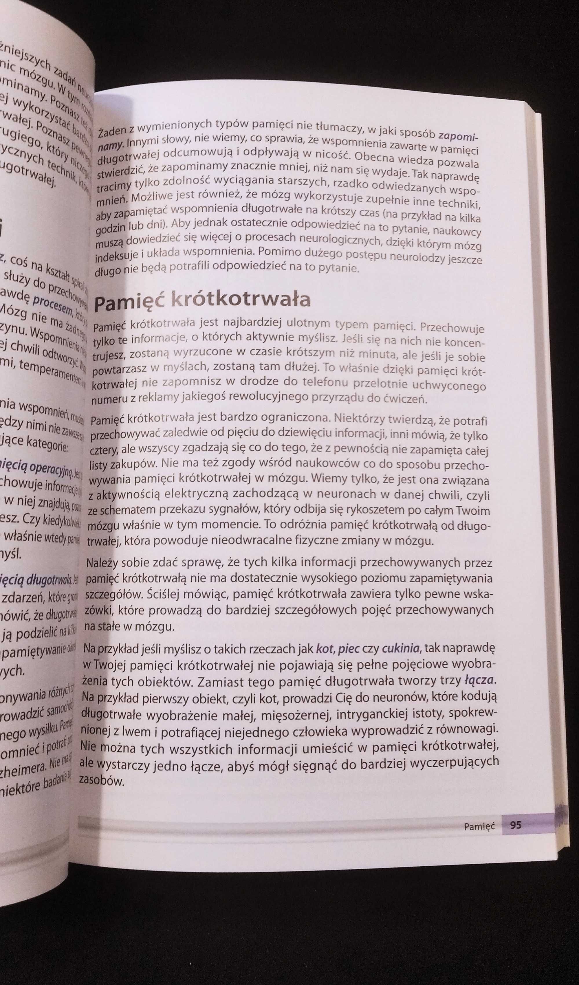 Mózg nieoficjalny podręcznik Matthew MacDonald