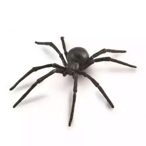 Pająk Czarna wdowa. Collecta. Nowy Produkt