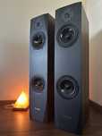 Pylon Saphire 25 kolumny audio orzech