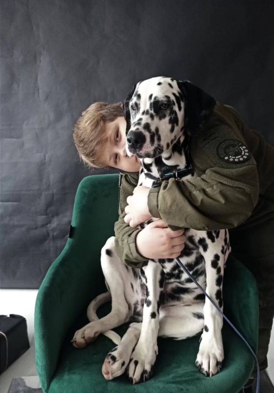 Щенята Далматинці